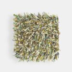 Brink Campman Spring 59107 staal