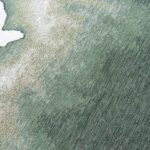Louis De Poortere tapis Meditation Lagoon 9331 Palm Green zoom 2
