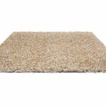 Brink Campman Spring Calendula Brass 59103 D